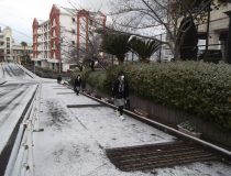 添付画像