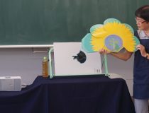 添付画像