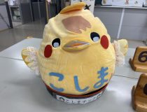 添付画像