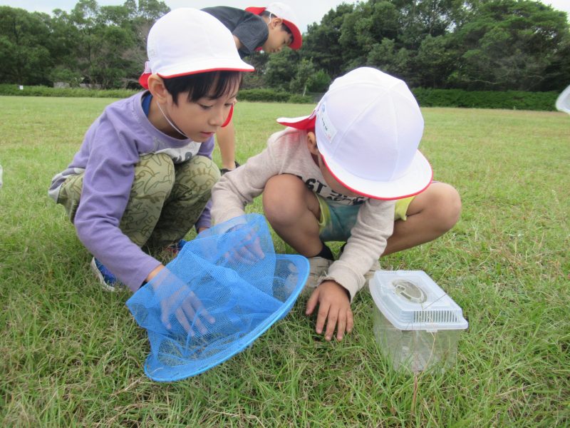 （１年生）校外学習　～校外学習　唐八景で秋見つけ②～の画像