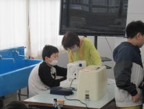 添付画像