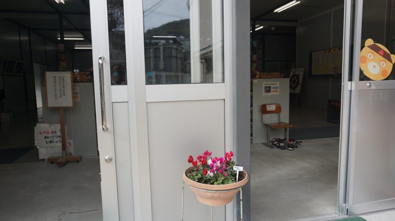 （校長日記）玄関前　かわいい花がお出迎え(^^)/の画像