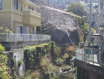 添付画像