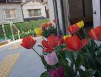 添付画像