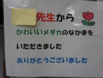 添付画像