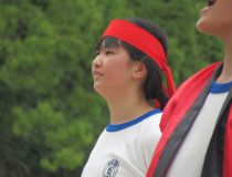 添付画像