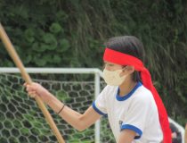 添付画像