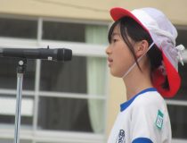 添付画像