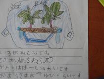 添付画像