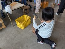 添付画像