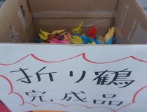 添付画像