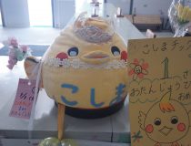 添付画像