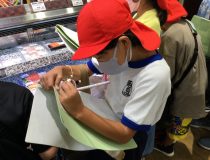 添付画像