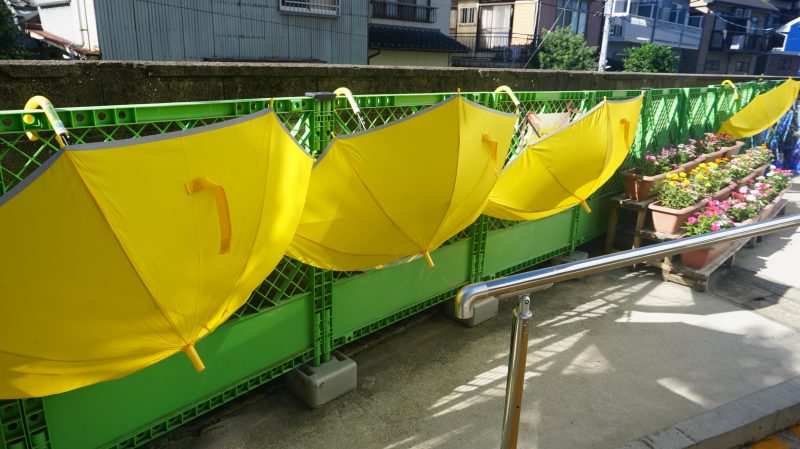 （学校生活）傘の花が咲きました☂の画像