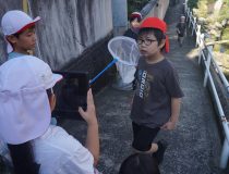 添付画像