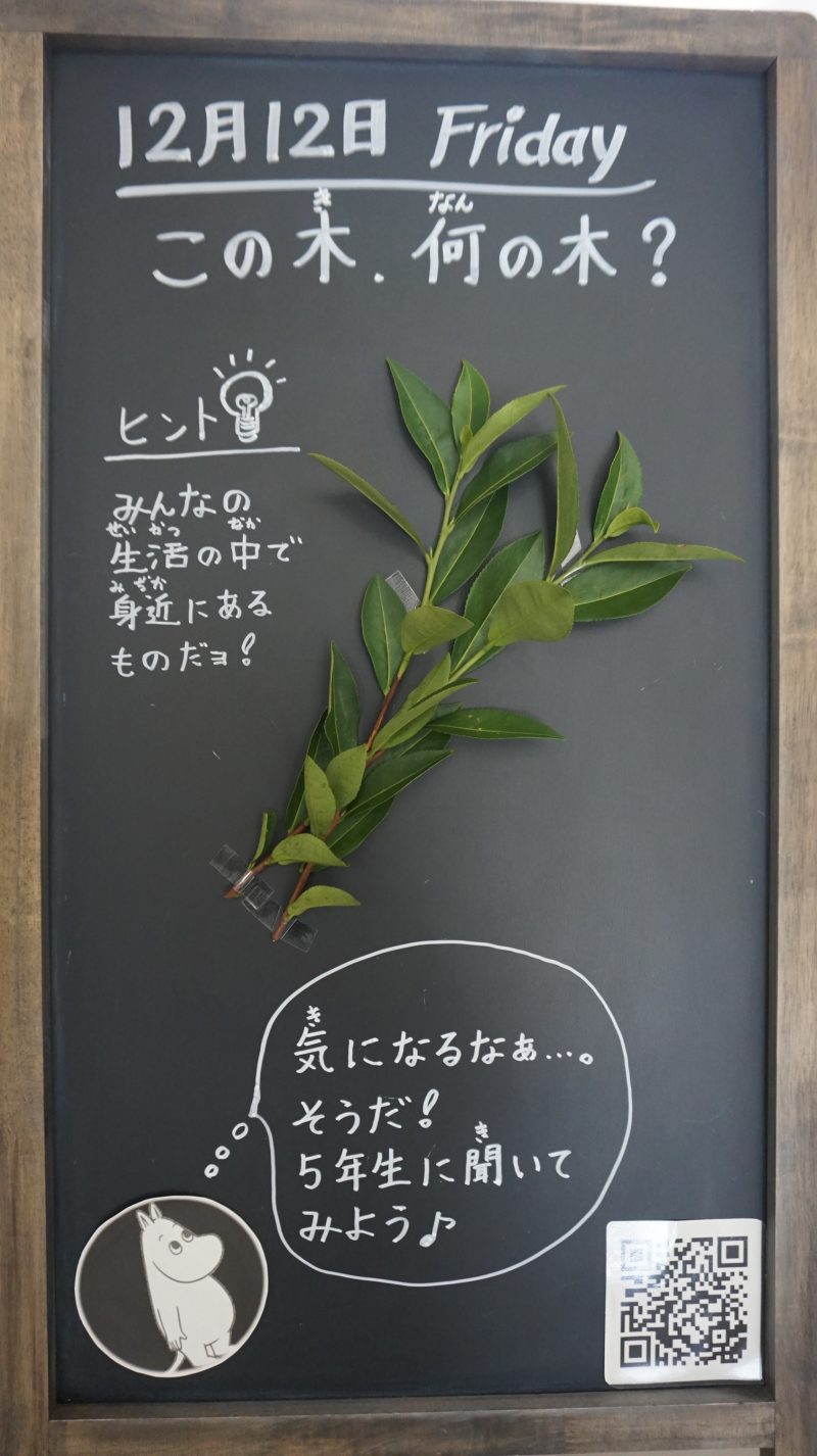 (校長日記)本日のウェルカムボード♪の画像