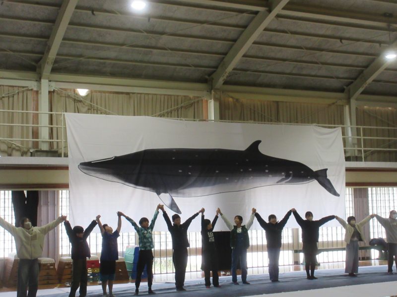 鯨博士の授業の画像