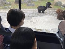 添付画像