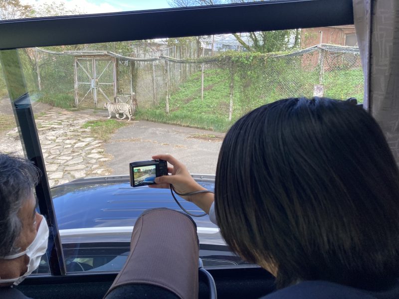 R6修学旅行14・アフリカンサファリの画像