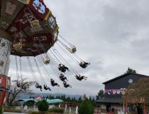 添付画像