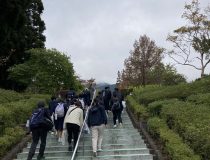 添付画像