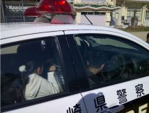 添付画像
