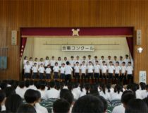 添付画像