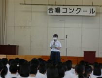 添付画像
