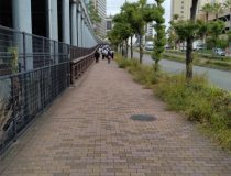 添付画像