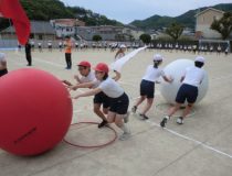添付画像