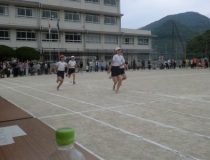 添付画像