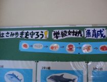 添付画像