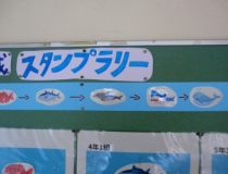 添付画像