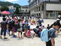添付画像