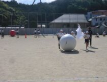 添付画像