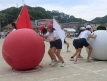 添付画像