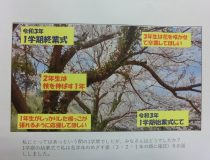 添付画像