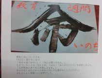 添付画像