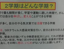 添付画像
