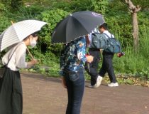 添付画像