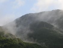 添付画像
