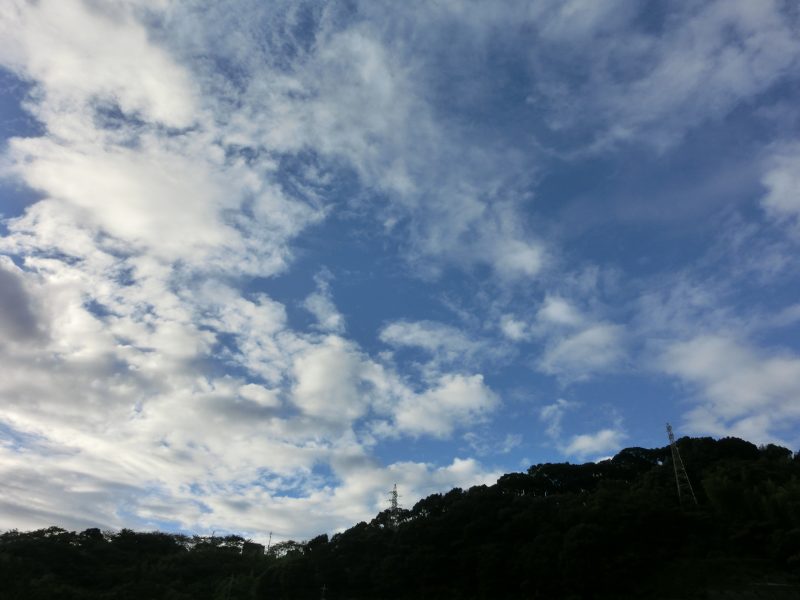 駅伝日記の画像