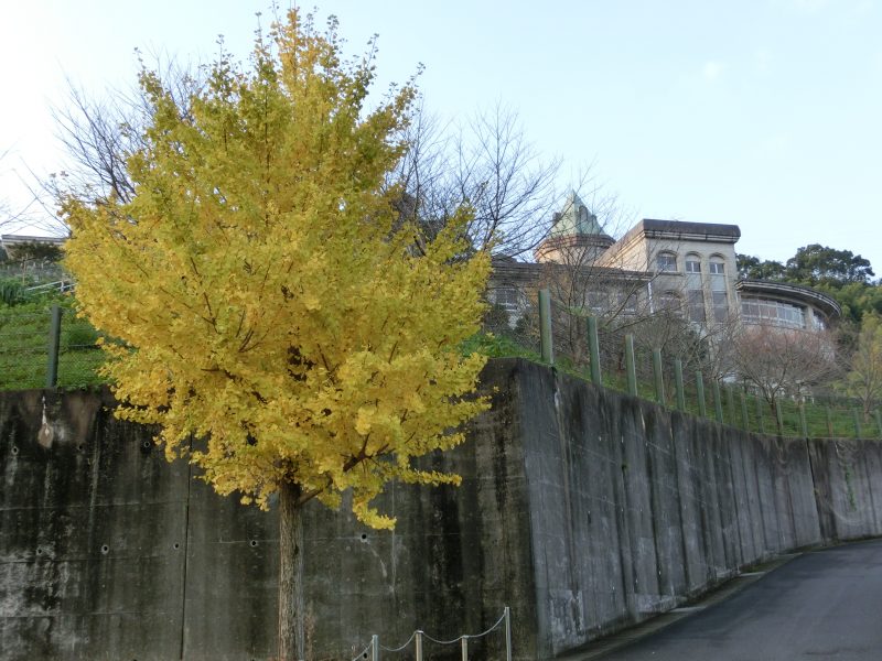 豊かな自然　三川中の画像