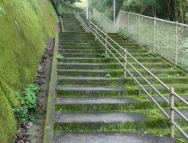 添付画像