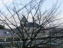 添付画像