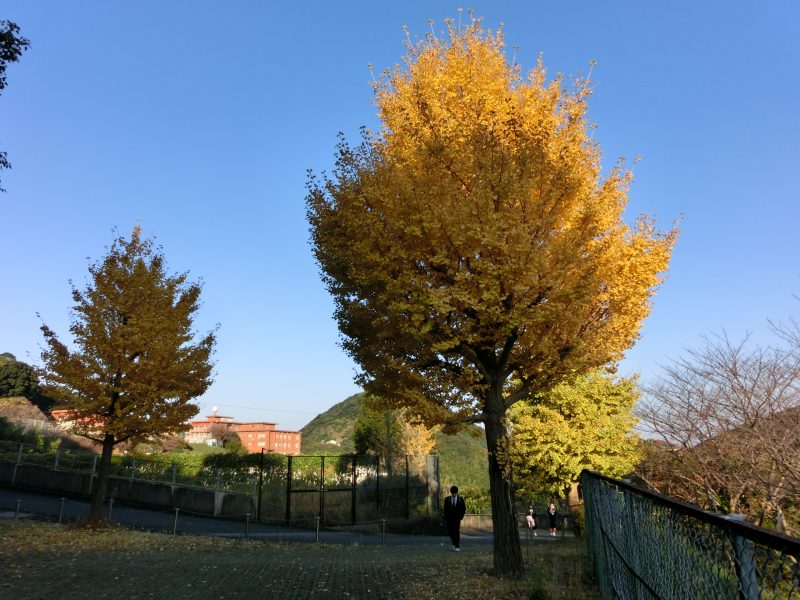 ２学期期末テスト終了の画像