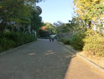 添付画像