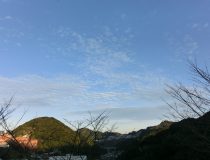 添付画像