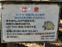 添付画像