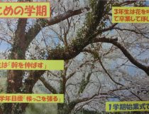 添付画像